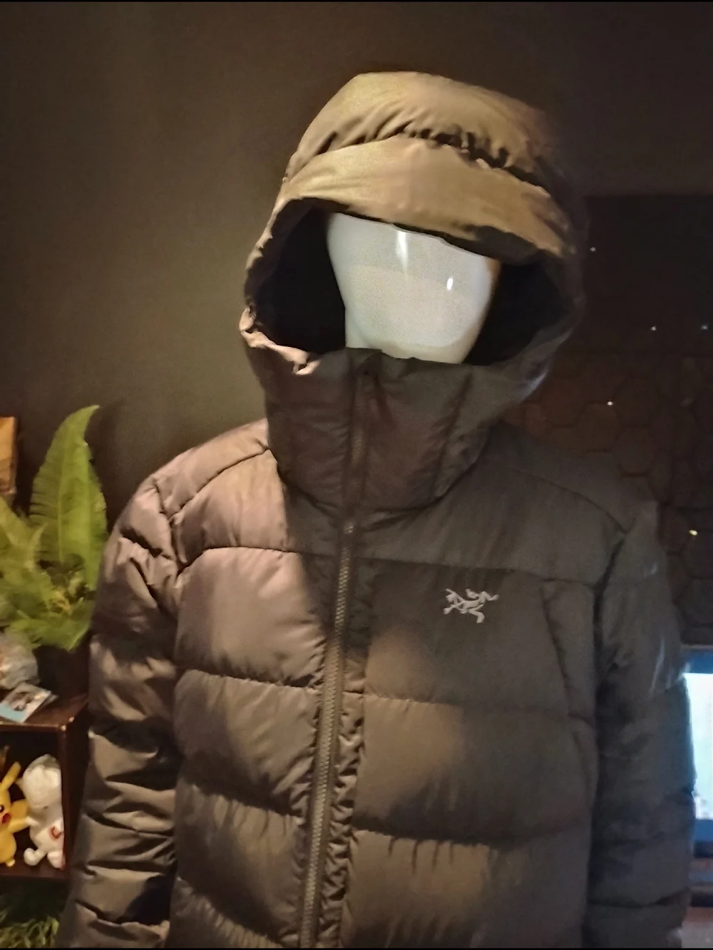 Arcteryx long insulated